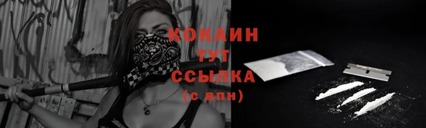 альфа пвп Заводоуковск