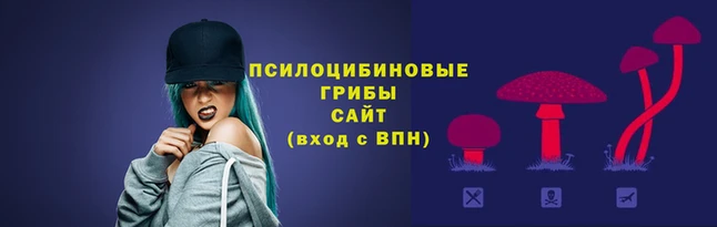 альфа пвп Заводоуковск